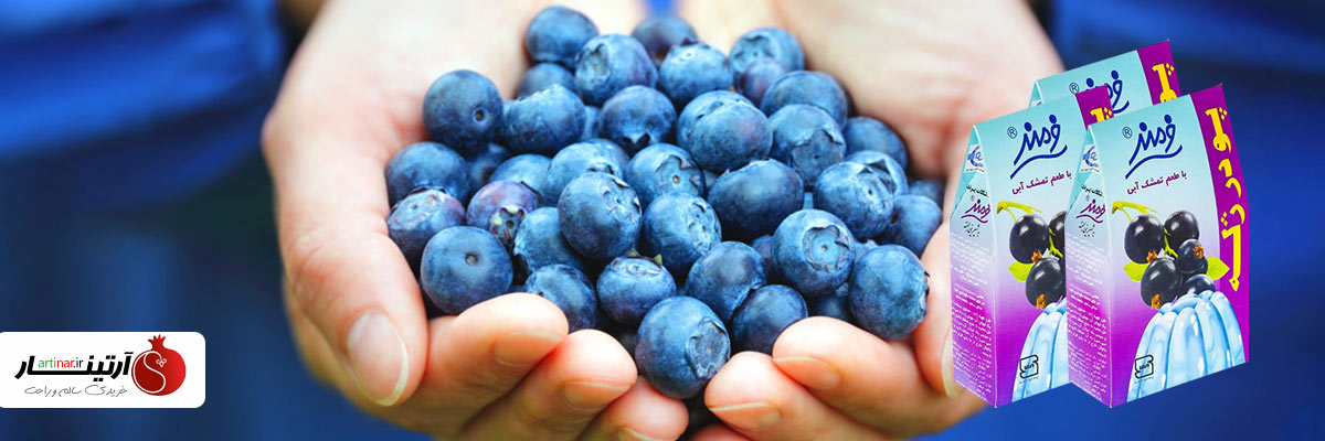 پودر ژله بلوبری فرمند 100 گرم