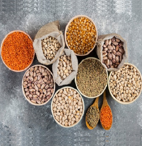 غلات و حبوبات | آرتینار