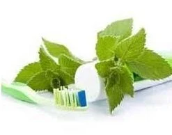 https://artinar.ir/product-category/tabiat_shop/health-and-beauty/dental-care/