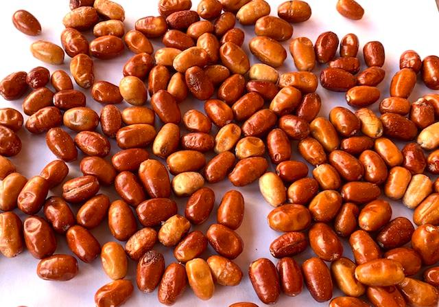 سویق سنجد